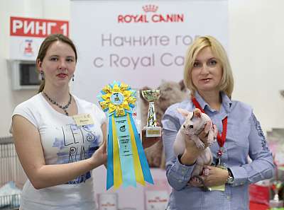   11-12  2015 WCF- 7-151-169A4330 copy.jpg